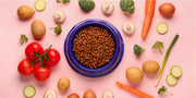 The Incredible Benefits of Daily Probiotics for Dogs